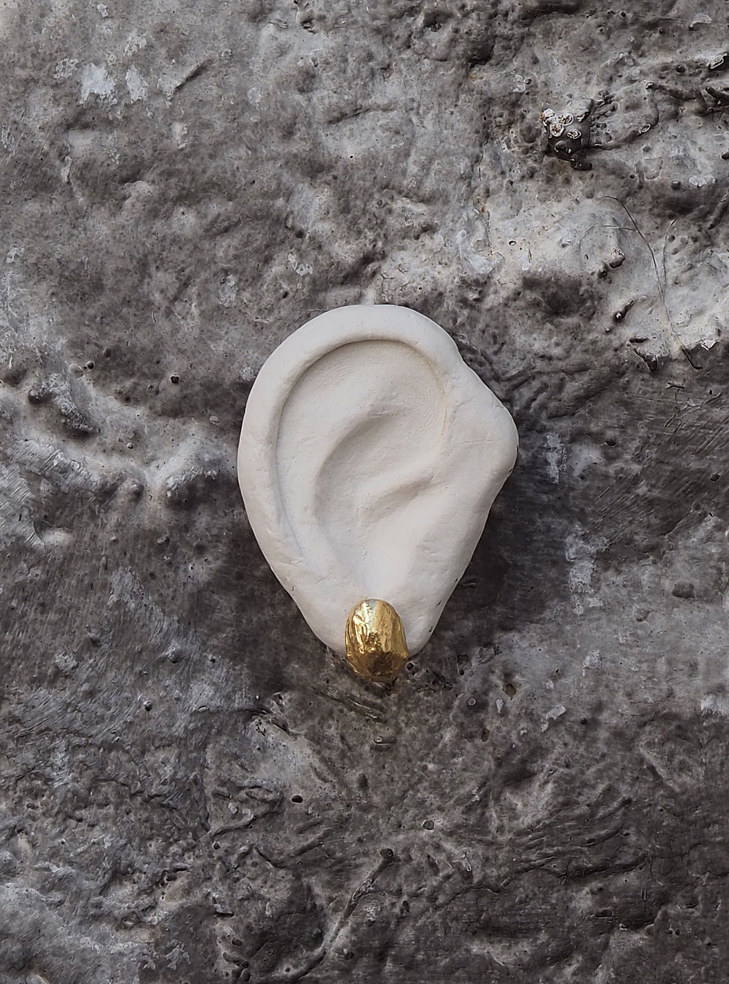 pedreta earrings